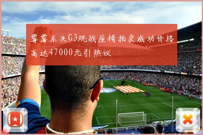霉霉东决G3观战座椅拍卖成功价格高达47000元引热议